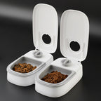 Automatic Pet Feeder