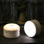 Human Body Sensor Light